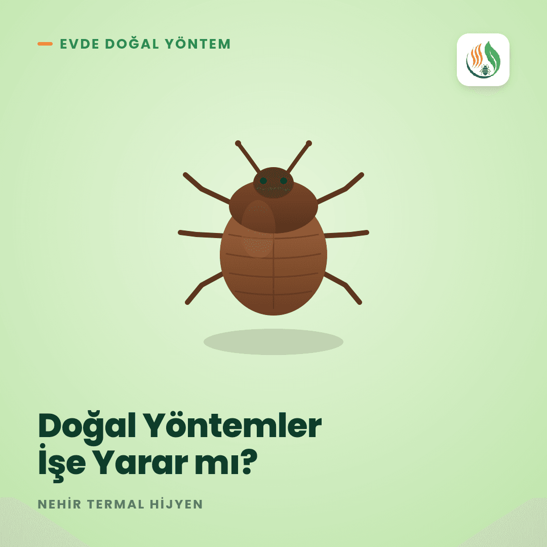 Tahtakurusuna Karşı Evde Doğal Yöntemler İşe Yarar mı?