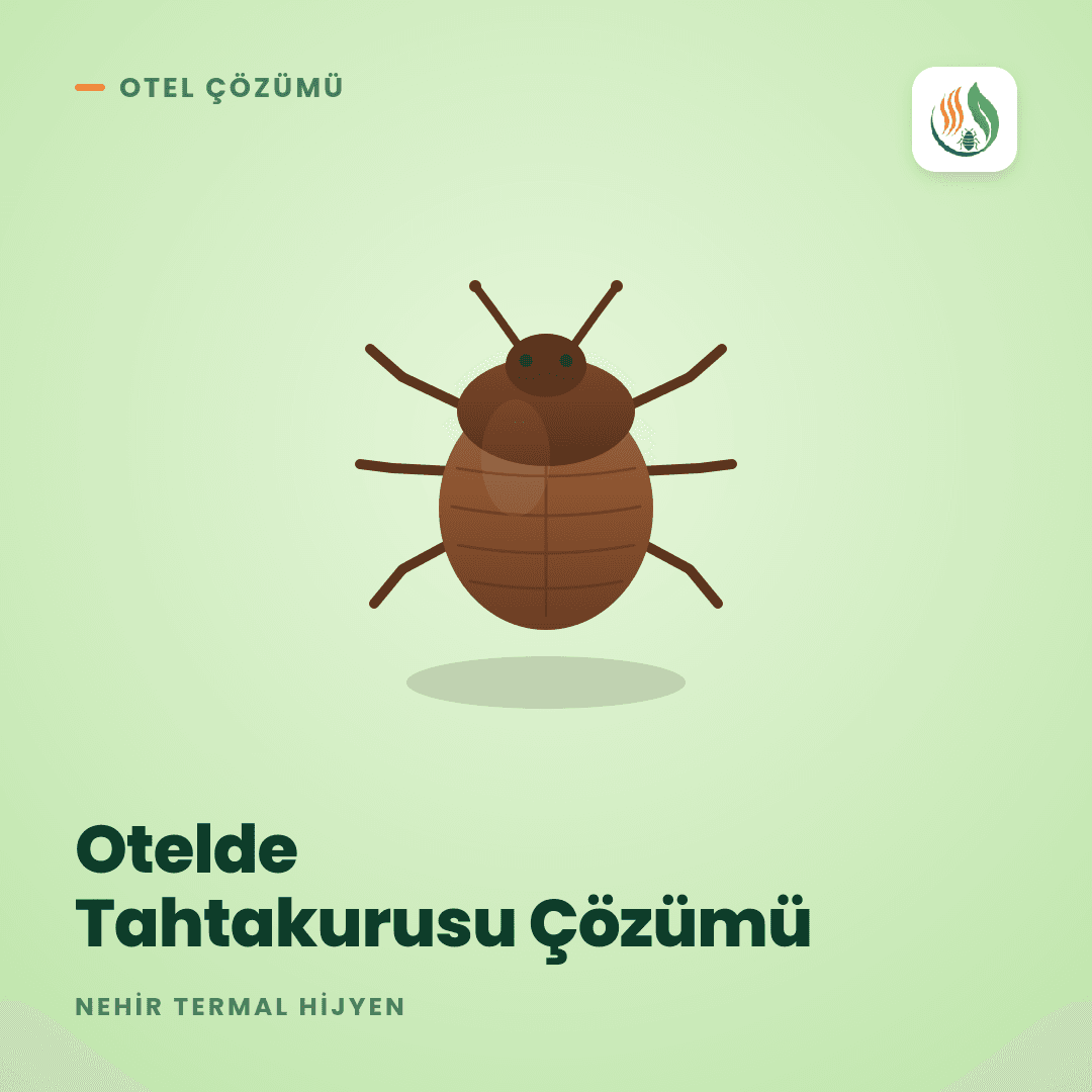 Otelde Tahtakurusu Çözümü: Kimyasalsız Tek Seans Yöntem