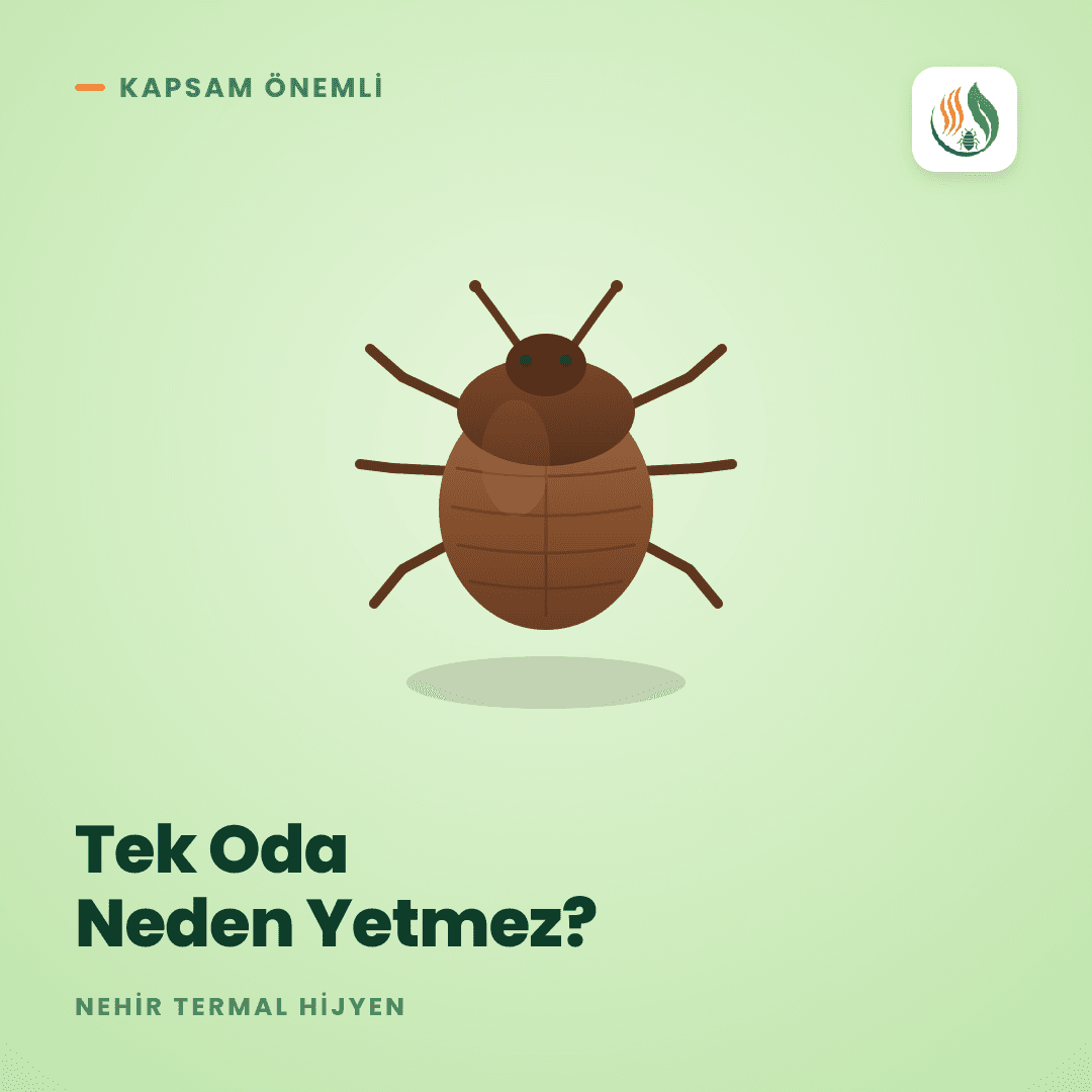 Otelde Tek Oda Temizlemek Neden Yetersiz Kalır?