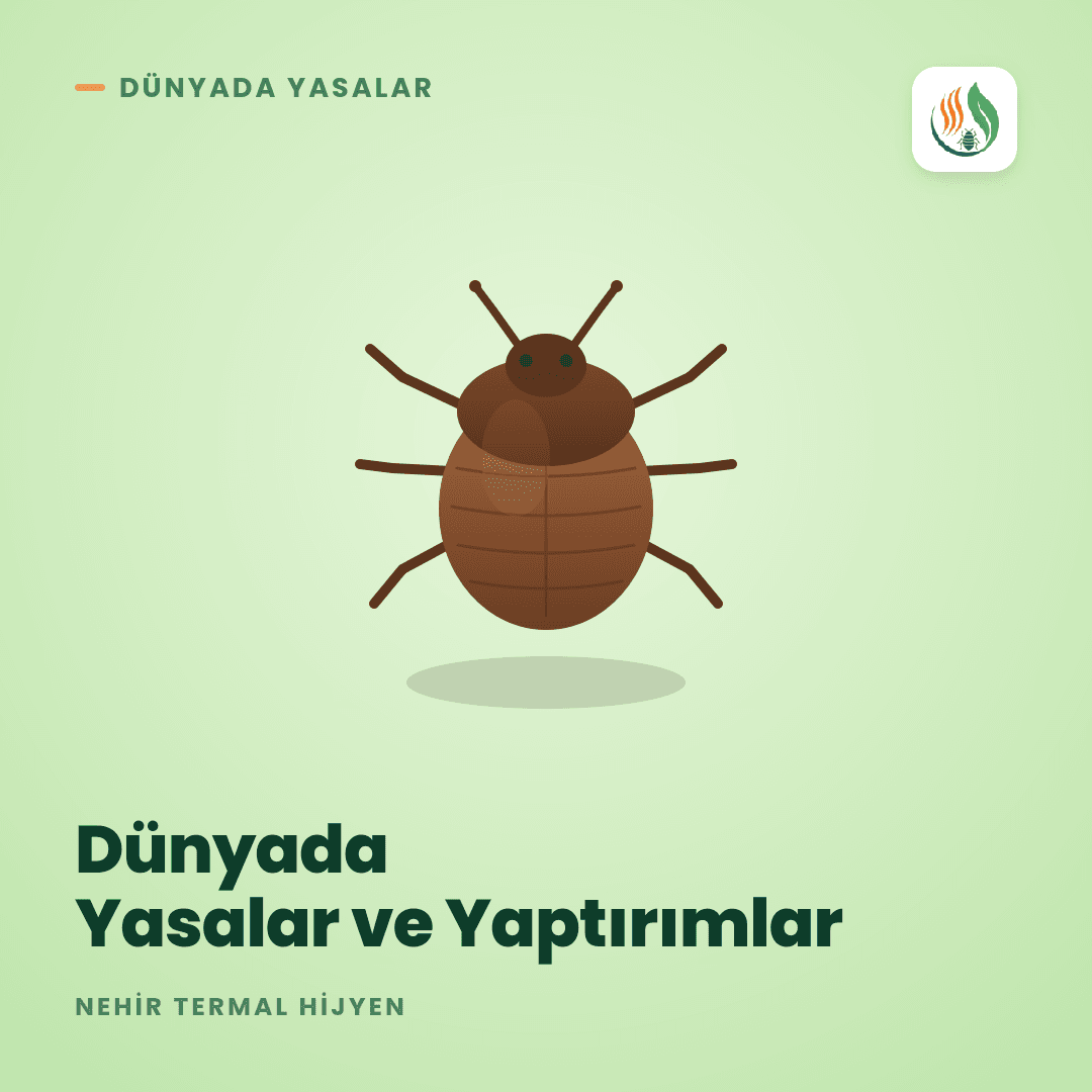 Dünyada Tahtakurusu ile Mücadele: Yasalar ve Yaptırımlar