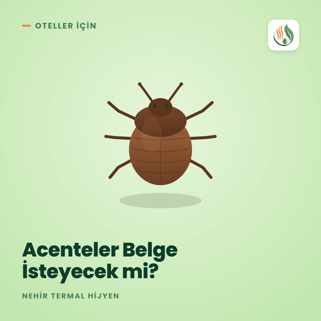 Otellerde Tahtakurusu: Acenteler Artık Belge İsteyecek mi?