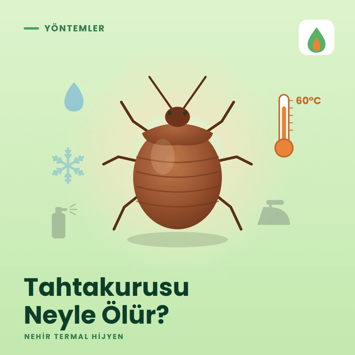 Tahtakurusu Neyle Ölür? Açlık, Sıcak Su, İlaç, Buhar ve Isıl İşlem Kılavuzu