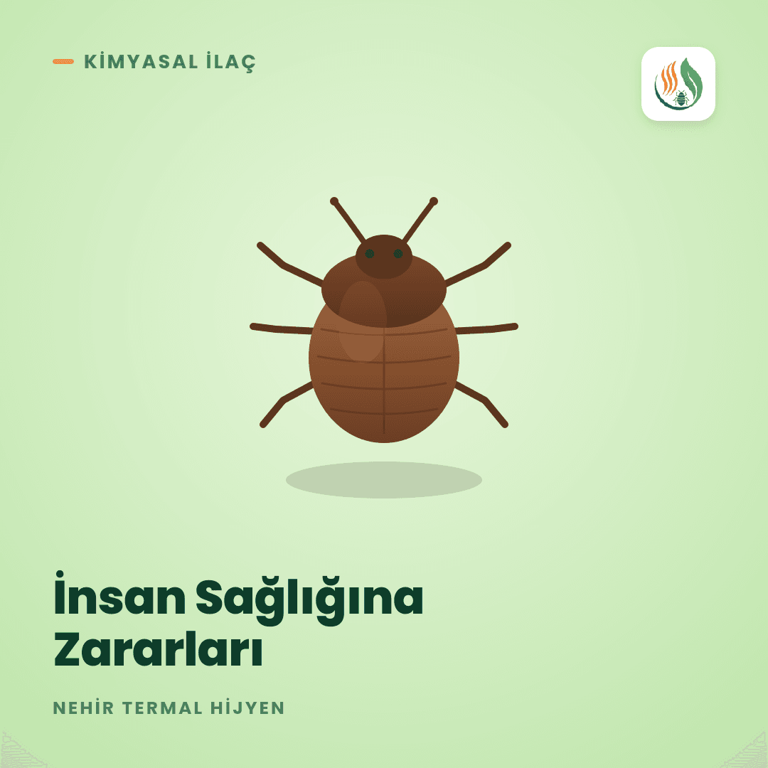 Otelde ve Evde Kimyasal İlaç: İnsan Sağlığına Zararları