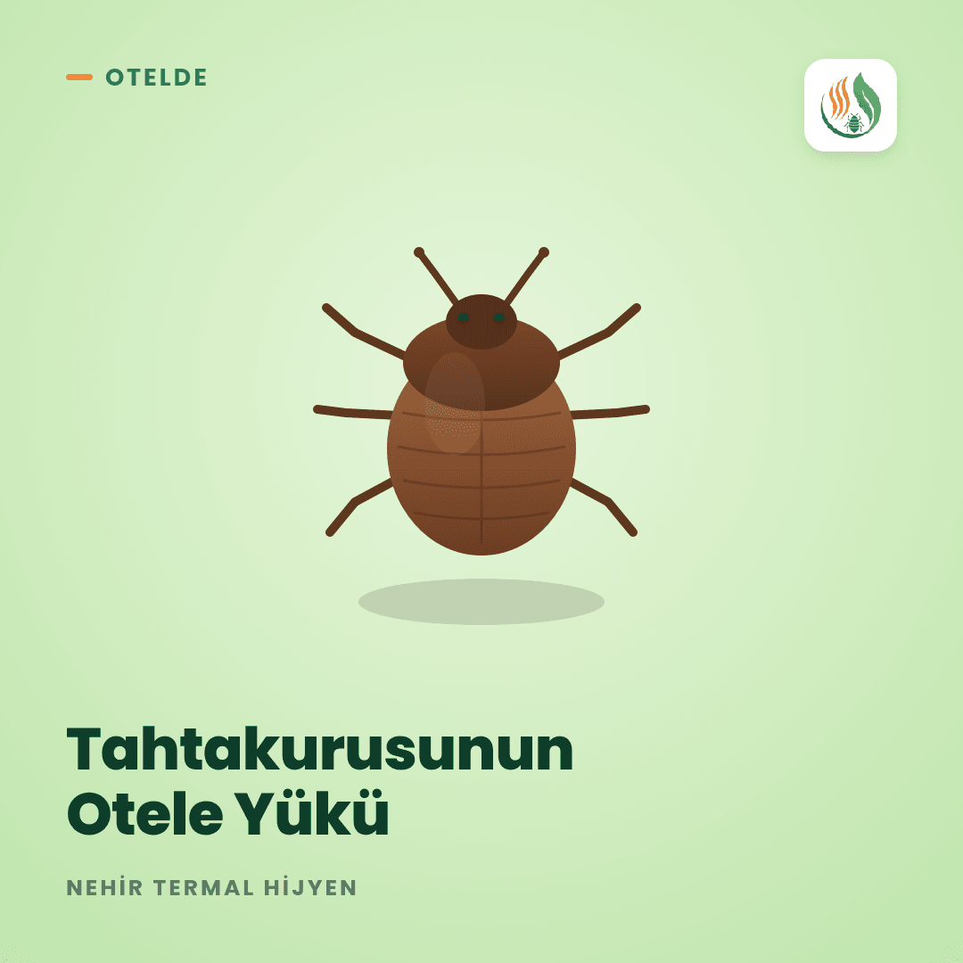 Tahtakurusunun Otellere Getireceği Yük: Yorum, Dava, Sıralama