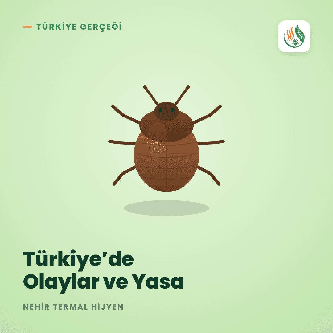 Türkiye'de Tahtakurusu, Kimyasal İlaçlama ve Yasa