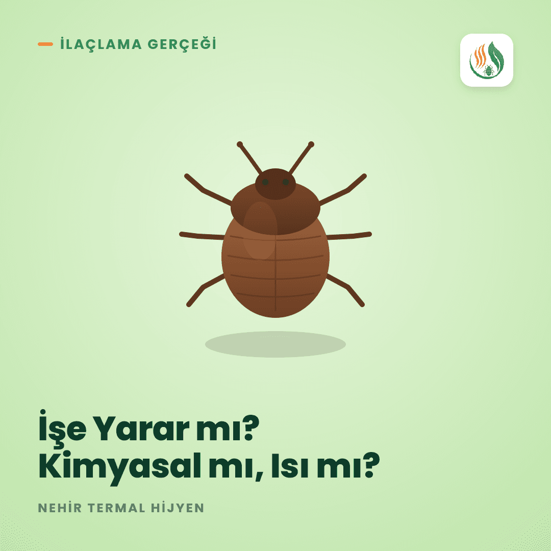 Tahtakurusu İlaçlama İşe Yarar mı? Kimyasal mı, Isı mı?