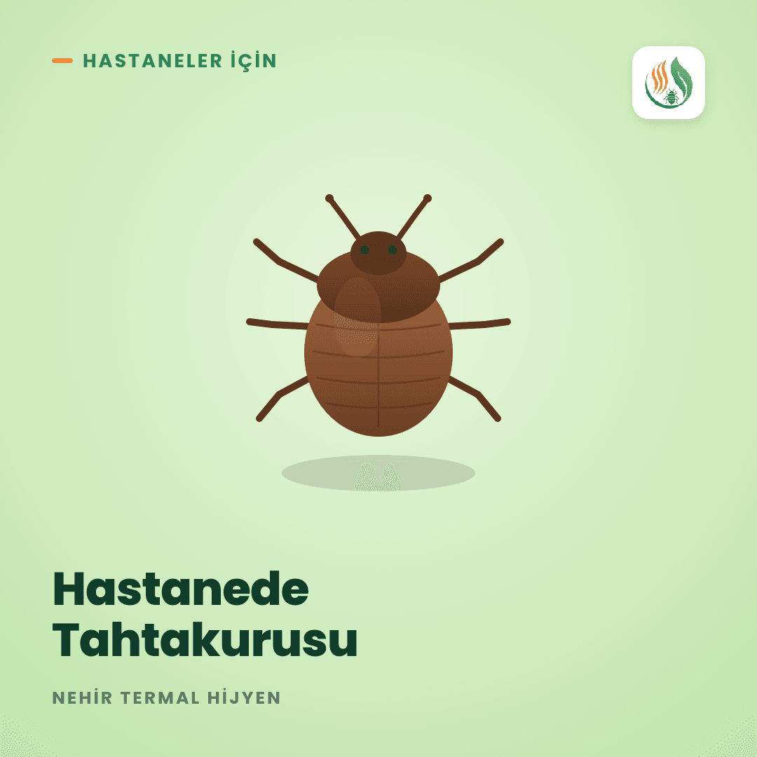 Hastanede Tahtakurusu: Kimyasal Neden Olmaz, Termal Çözüm