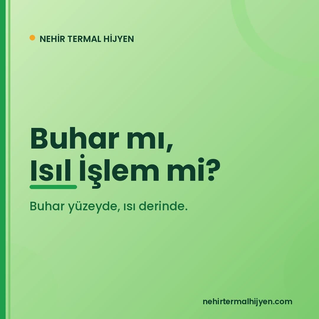 Buharlı Temizlik Makinesi Tahtakurusunu Öldürür mü?
